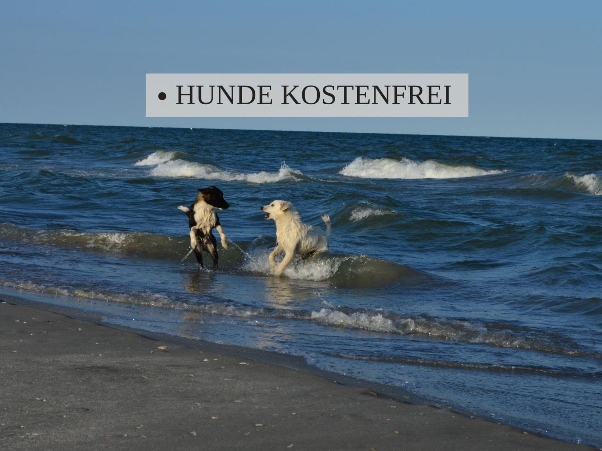 Haus Krabbe Apartments, Zentral Gelegen Im Idyllischen Nordseeort Zwischen Bremerhaven Und Cuxhaven, Hunde Kostenfrei Willkommen, Hauseigene Kostenfreie Parkplaetze Wremen Extérieur photo